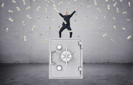 A happy businessman in a celebrating pose standing on a safe and a lot of money in the air. Business and finance. Success and wealth. Earning and saving money.の写真素材