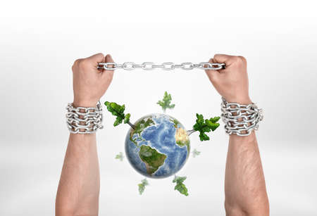 Two chained man hands and the globe with high trees, all isolated on the white background. Saving the environment. Ecological problems.の写真素材