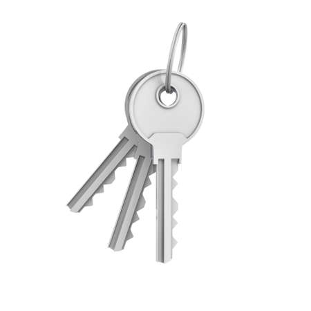 3d rendering of two isolated silver keys on a key ringの写真素材