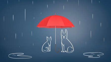 3d rendering of a open red umbrella covering chalk drawn cat and dog from rain on a blue background.の写真素材