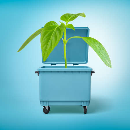 3d rendering of a green sprout growing in a blue trash can.