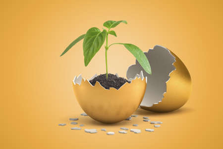 3d rendering of small green sprout growing from black soil in golden shell of golden egg that just...