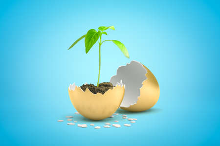3d close-up rendering of young green sprout growing right from golden egg that just hatched on blue...