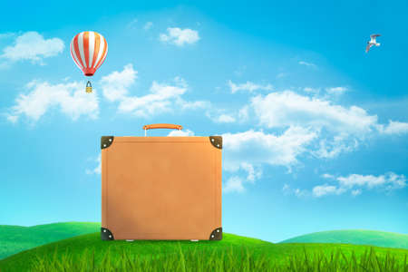 3d rendering of brown suitcase standing on green meadow under blue sky with white bird and hot air balloon in distance.の写真素材