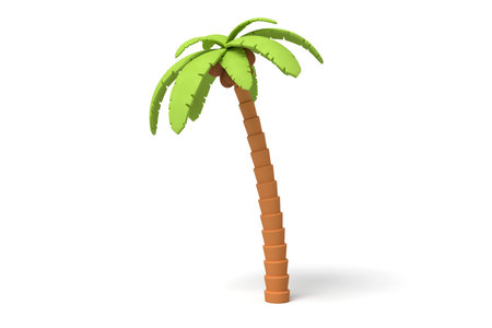 Stylized cartoon 3D palm tree on whiteの写真素材