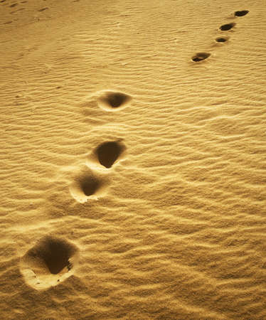 Follow your wayの写真素材