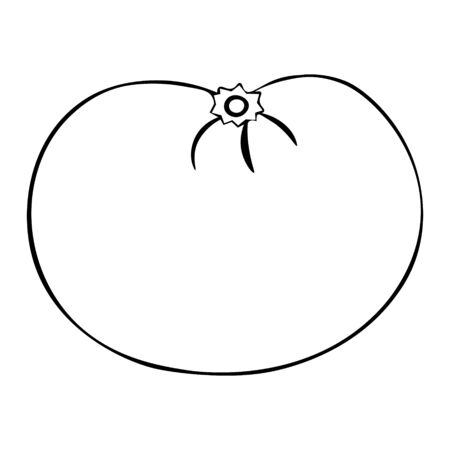 Festive Mandarin. Fruit on the New Year's table. Citrus. Colorless background. Coloring book for children. New Year. Holiday print.&#xD;&#xA;のイラスト素材