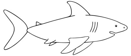 Shark. Vector illustration. Outline on a white isolated background. Large predatory sea fish. Hand drawing style. Sketch Coloring book for children and adults. Underwater monster with toothy jaw. Idea for web design, books.のイラスト素材