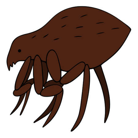 Flea. Vector illustration. Bloodsucker on an isolated green background. Blood-sucking insect. Carrier of plague and other pathogens of human and animal diseases. Bubonic plague. Science, medicine.のイラスト素材