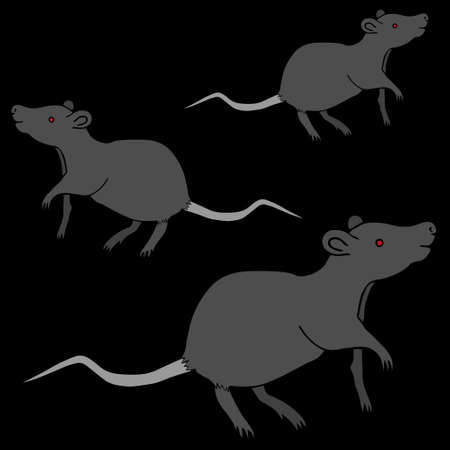 Black rat. Vector illustration. Rodent on an isolated black background. Carrier of plague and other diseases. The animal is a natural reservoir of infection. Bubonic plague. Science, medicine.のイラスト素材