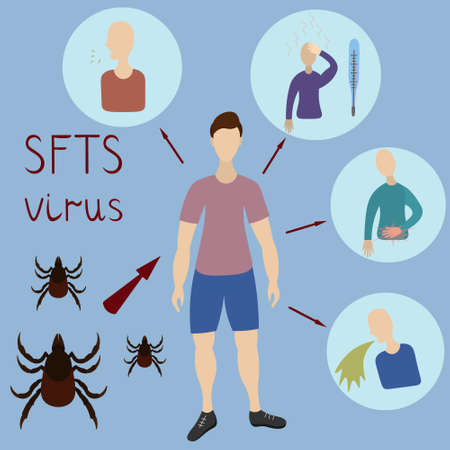 Symptoms of SFTS virus. Path of infection insect mite-human. Vector illustration.のイラスト素材