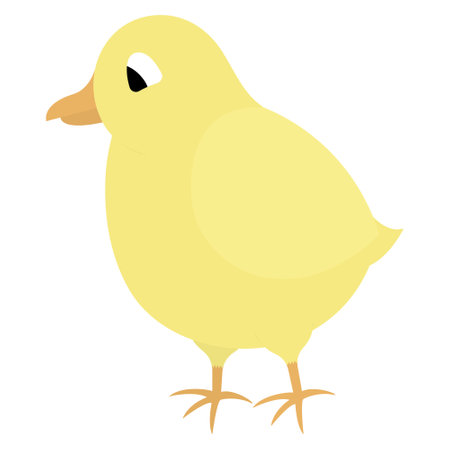 Chick. color vector illustration. yellow bird. baby chicken. Cute chick. isolated background. flatstyle. Festive print. Idea for web design, invitations, postcards. Bright Easter.のイラスト素材