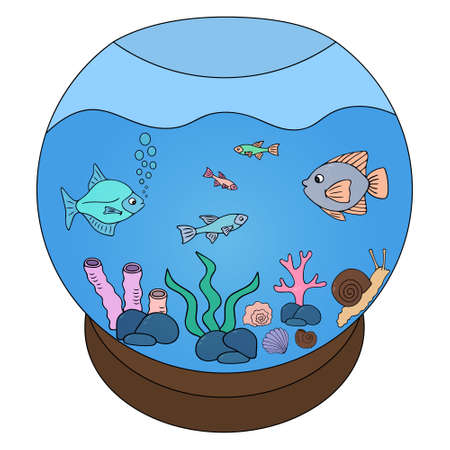 Aquarium with fish. Glass housing for aquatic plants and animals. color vector illustration. Pets in the water behind glass. isolated background. cartoon style. Idea for web designのイラスト素材