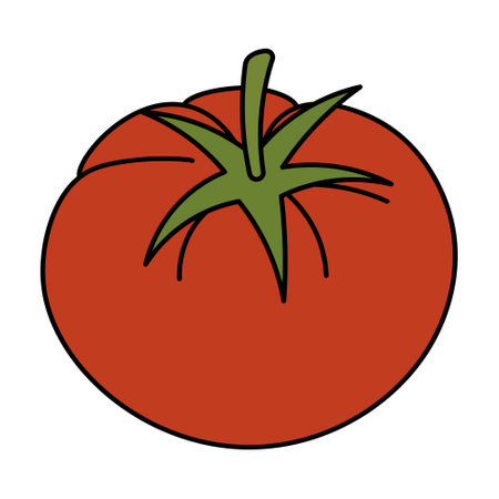 tomato. A useful red vegetable with a plant stem. color vector illustration. cartoon style. isolated background. Vegetable culture of the genus nightshade. Vegan food. harvesting.のイラスト素材