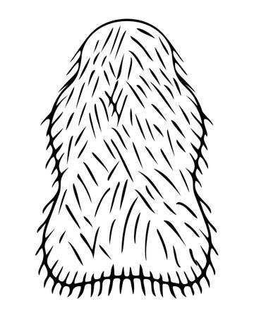 Carpet in the shape of a fur skin. Sketch. Floor covering with artificial fur. Floor mat with fleecy cover. vector illustration. Rug in doodle style. Coloring book. Outline on isolated background.のイラスト素材