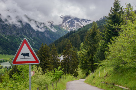 Alpine mountain view. Taken near Vaduz, capital city of Liechtenstein.の写真素材