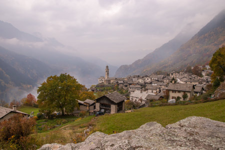 Chestnut trees in Switzerland, near Soglio and Castasegna. Taken in Soglio / Switzerland, 10.30.2021のeditorial素材