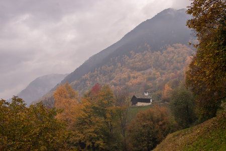Chestnut trees in Switzerland, near Soglio and Castasegna. Taken in Soglio / Switzerland, 10.30.2021のeditorial素材