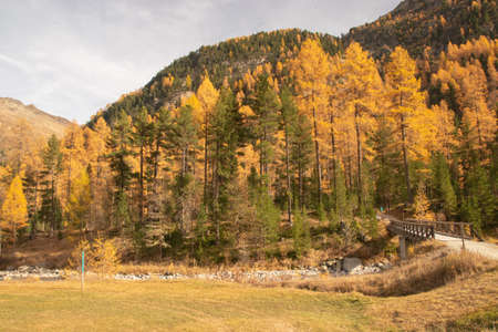Beautiful swiss autumn landscape, in St. Moritz, Maloja.