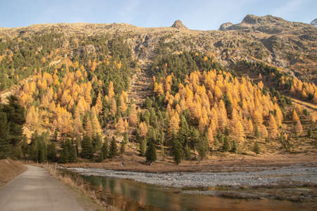 Beautiful swiss autumn landscape, in St. Moritz, Maloja.