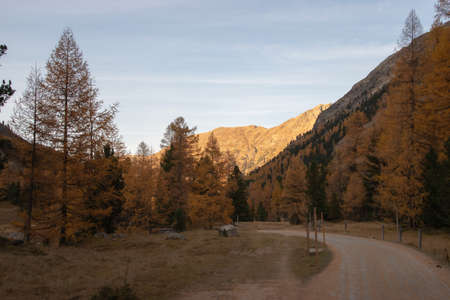 Beautiful swiss autumn landscape, in St. Moritz, Maloja.