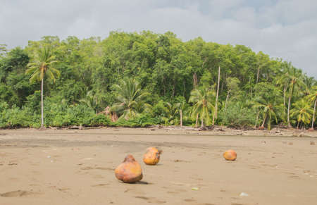 Playa Uvita is located near Uvita in the southern Pacific region.