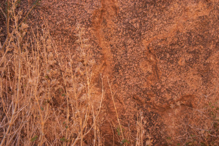 Natural rock wall background. Taken in Damaraland, in Namibiaの写真素材