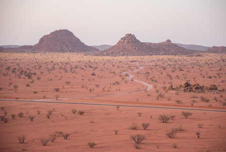 A winding path cuts through the dry desert landscape of Damaraland, dotted with trees. This remote wilderness is a true testament to Namibia's raw beauty.の写真素材