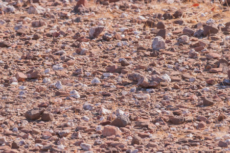 The Namibian desert is home to scattered grey stones and rugged rock formations shaped by natural processes over millennia.の写真素材