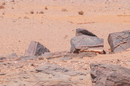The Namibian desert is home to scattered grey stones and rugged rock formations shaped by natural processes over millennia.の写真素材