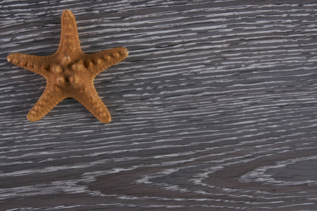 starfish on a wooden background, Top view with copy spaseの写真素材