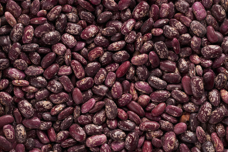 Red Kidney Beans Backgroundの写真素材