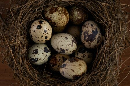 Quail easter eggs in straw nest. Natural organic eco food. Wooden rustic background.Close up.Top view.の写真素材
