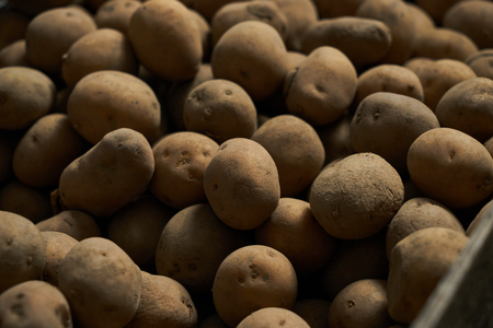 Raw potatoes food in an old wooden box.の写真素材