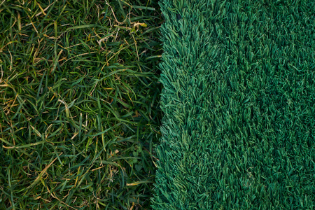 Green artificial and natural grass backgroundの写真素材