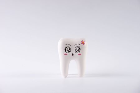 Model toy tooth  in dentistry isolated on a white background