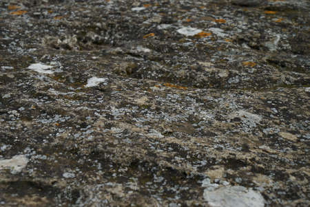 Close-up detail of texture of rocks on shore. Nature and adventure concept.の写真素材