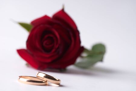 Close-up of a beautiful romantic red Rose with two wedding gold rings isolated on white background with copy space. Love and marriage proposal concept.の写真素材