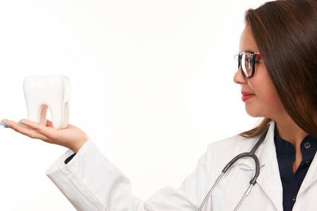 Female doctor hand holding white healthy human tooth model isolated on white background. Oral dental hygiene. Teeth Whitening. Dental health Concept. Oral Care, teeth restoration.の写真素材