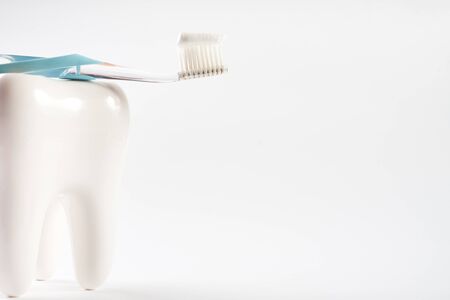Toothbrush with toothpaste on white healthy ceramic tooth model isolated on white background with copy space. Dental hygiene and careの写真素材