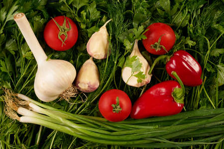Close-up of a fresh and ripe vegetables and greens. Fresh juicy vegetables tomato garlic bell pepper onions on a greens background. The concept of summer harvest. Healthy vegetarian food and detox.の写真素材