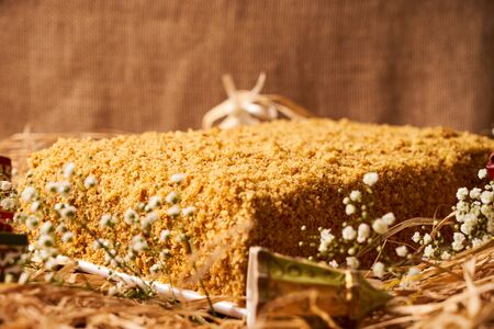 Delicious layered honey cake with sour cream on straw hay background with christmas decorationsの写真素材
