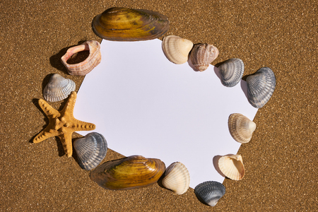 Blank paper on the beach with seashells and starfish. Sandy background, closeup, copy space. Holiday conceptの写真素材