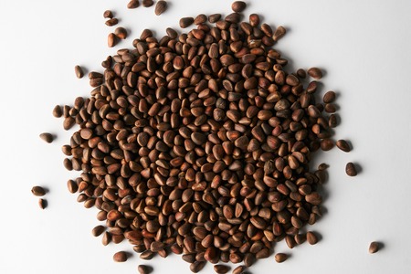 Heap of ripe cedar pine nuts