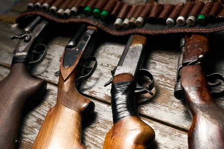 Hunting rifles with leather bandolier with ammunitionの写真素材