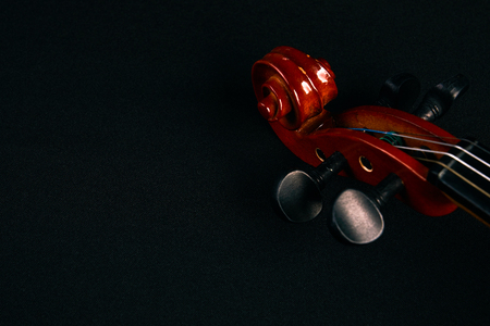 Brown classical violin.の写真素材