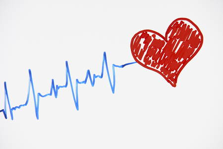 Cardiogram pulse trace and red heart concept for cardiovascular medical exam on a white background...
