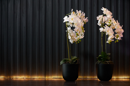 Watercolor spring flowers in flower pot on a black dotted metallic iron abstract background with copy space for text, close-upの写真素材