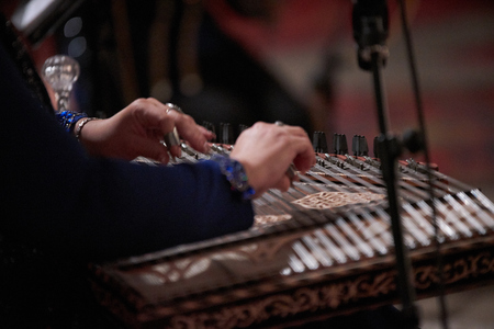 Woman Hands playing on a harp, close-upの写真素材
