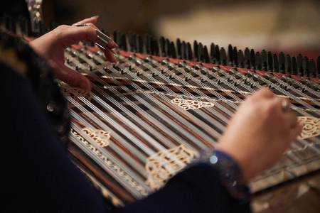 Woman Hands playing on a harp, close-up